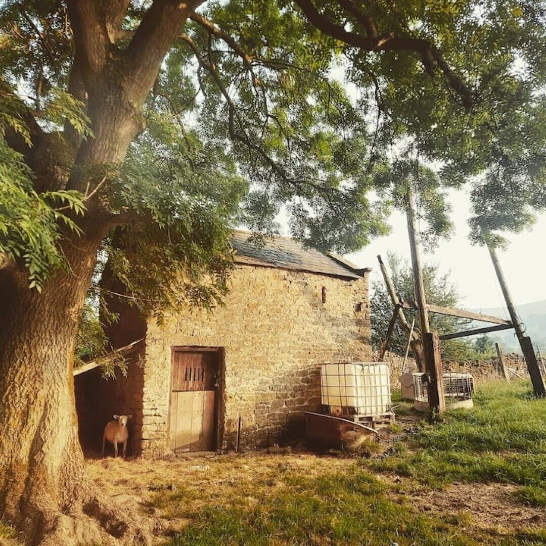Aussenbereich