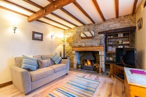 Televisión, chimenea y libros 
