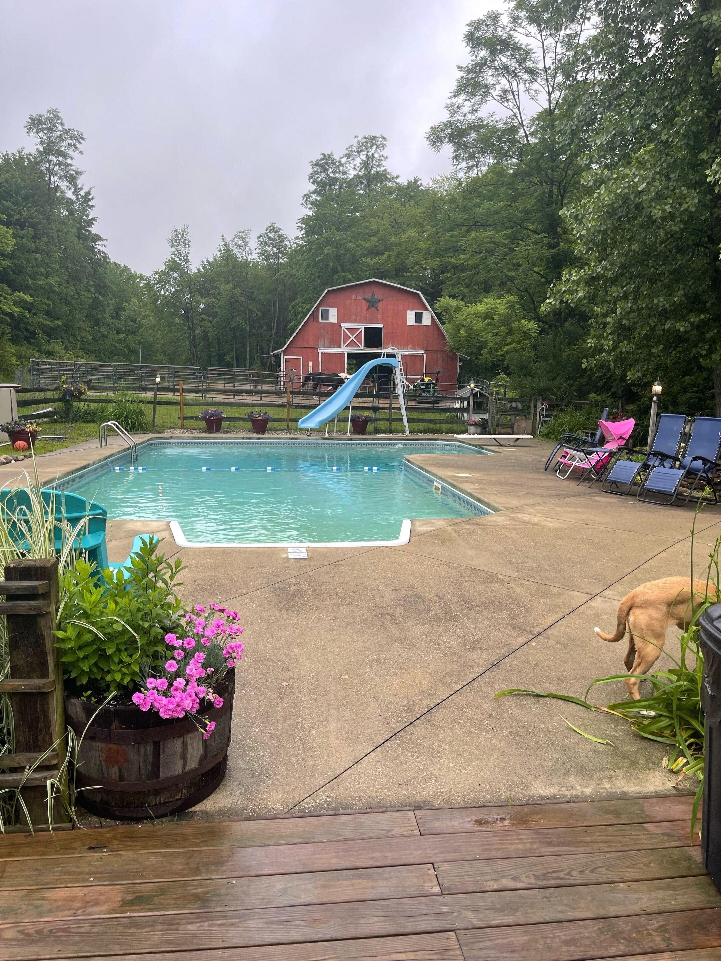 Beautiful Country Setting on a small horse farm