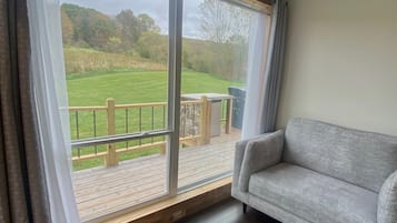 TV connectée, cheminée, livres