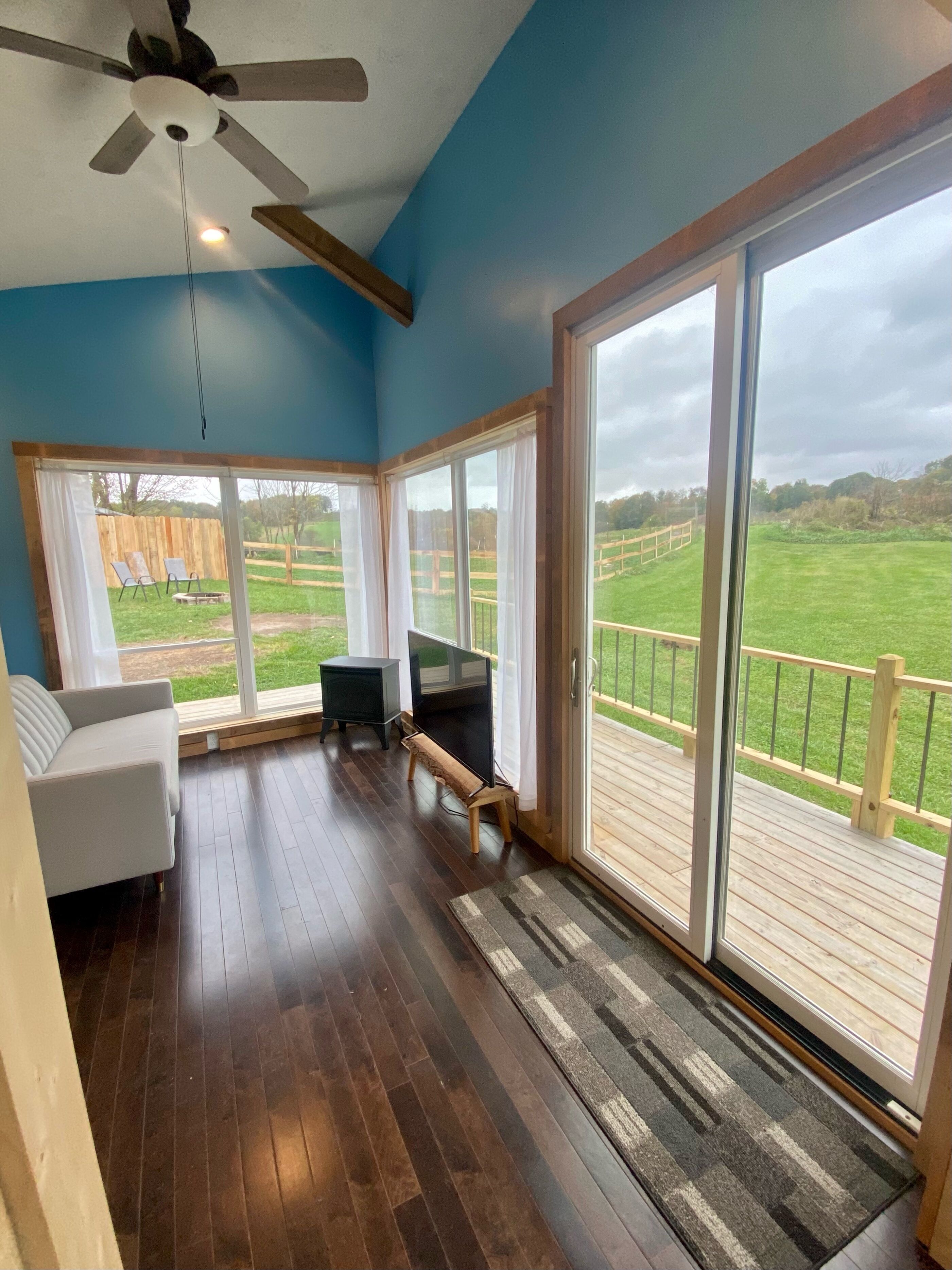 TV connectée, cheminée, livres