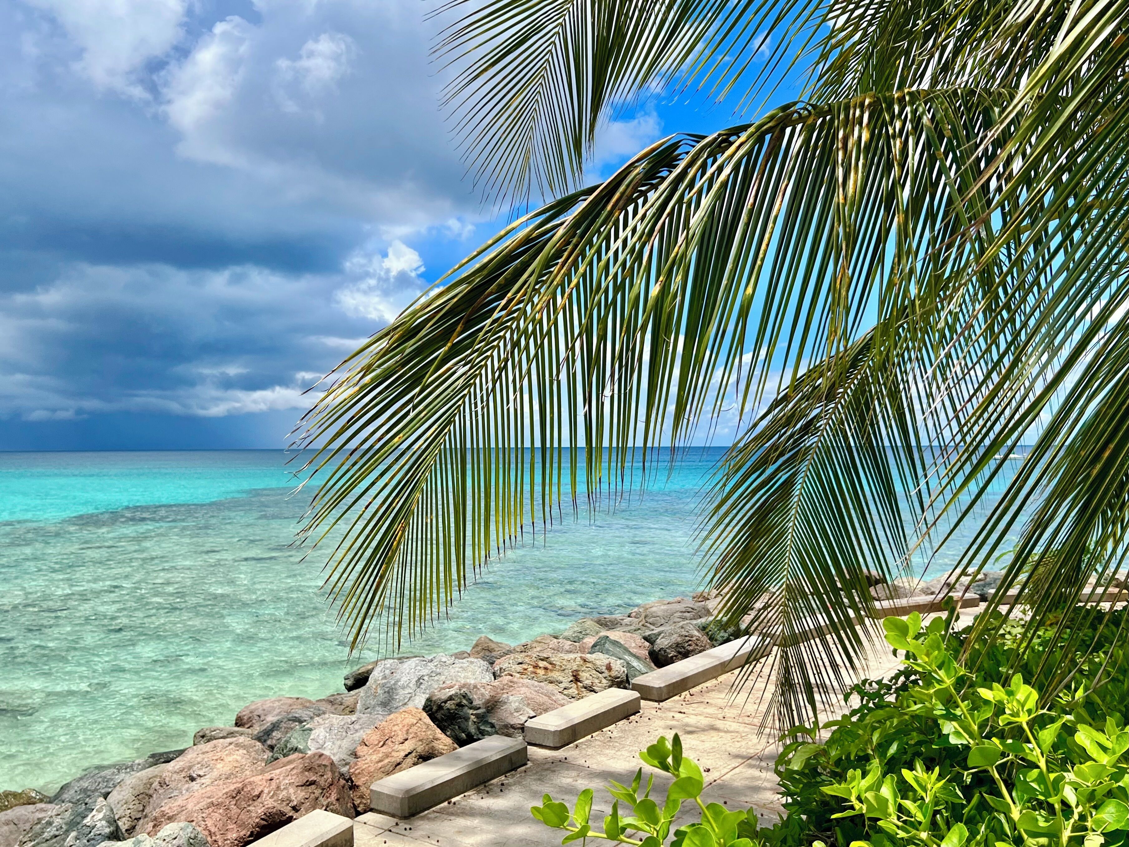 Una playa tropical con agua turquesa cristalina, una costa rocosa y palmeras.