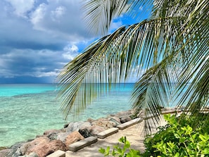 A tropical beach with clear turquoise water, a rocky shoreline, and palm trees.
