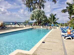 A pool area with lounge chairs and palm trees, overlooking the ocean. - 10 min walk to calm water beach! Private plunge pool on deck, Sunset Crest. (Holetown)
