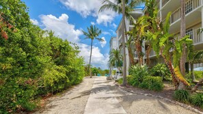 A pathway leading to a hotel with lush greenery and palm trees. - Starfish Seas Ocean Pointe 1302 King/Queen 2BA 2BR (Tavernier)