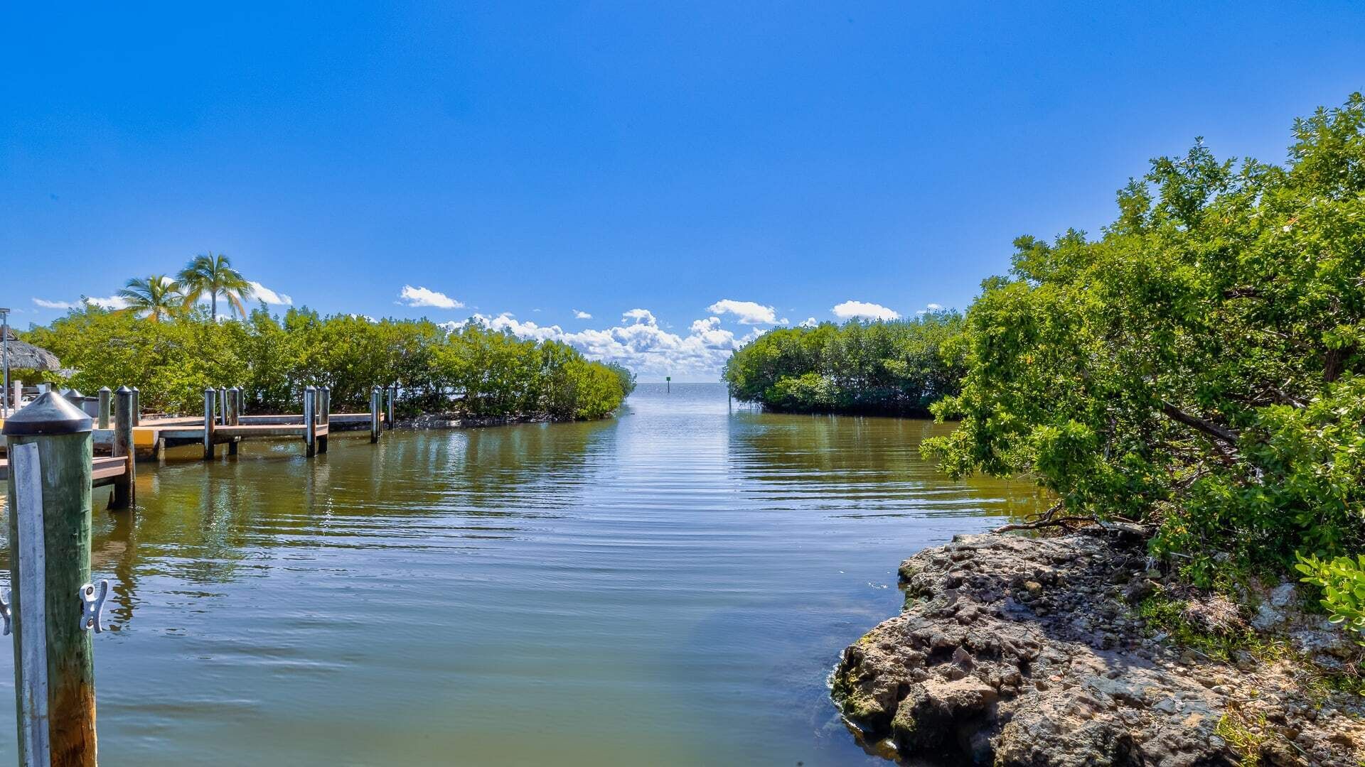 A calm waterway flanked by dense mangrove trees and a wooden dock.