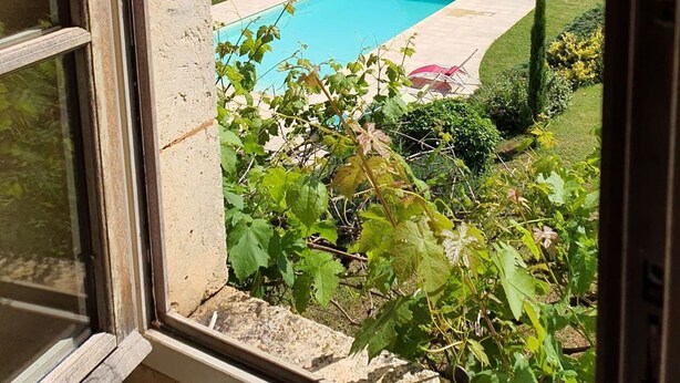 A view of a swimming pool surrounded by a lush garden and trees, viewed through a window. - House (ST MARTIAL DE NABIRAT)