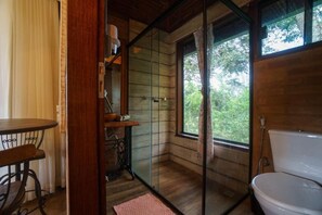 Shower, hair dryer, towels