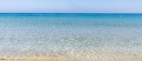 Playa en los alrededores