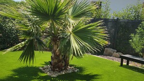 A well-maintained lawn with a palm tree and a bench. - large pool and jacuzzi villa (Lunel)