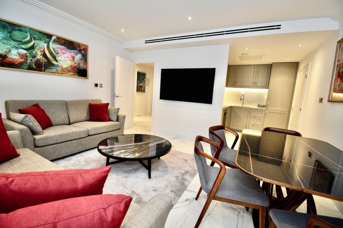 Appartamento Deluxe, 1 camera da letto | Area soggiorno | TV a schermo piatto 65 pollici con canali via cavo, TV, Netflix