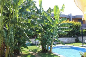 Outdoor pool - Odabasi Su Alacati  (Cesme)