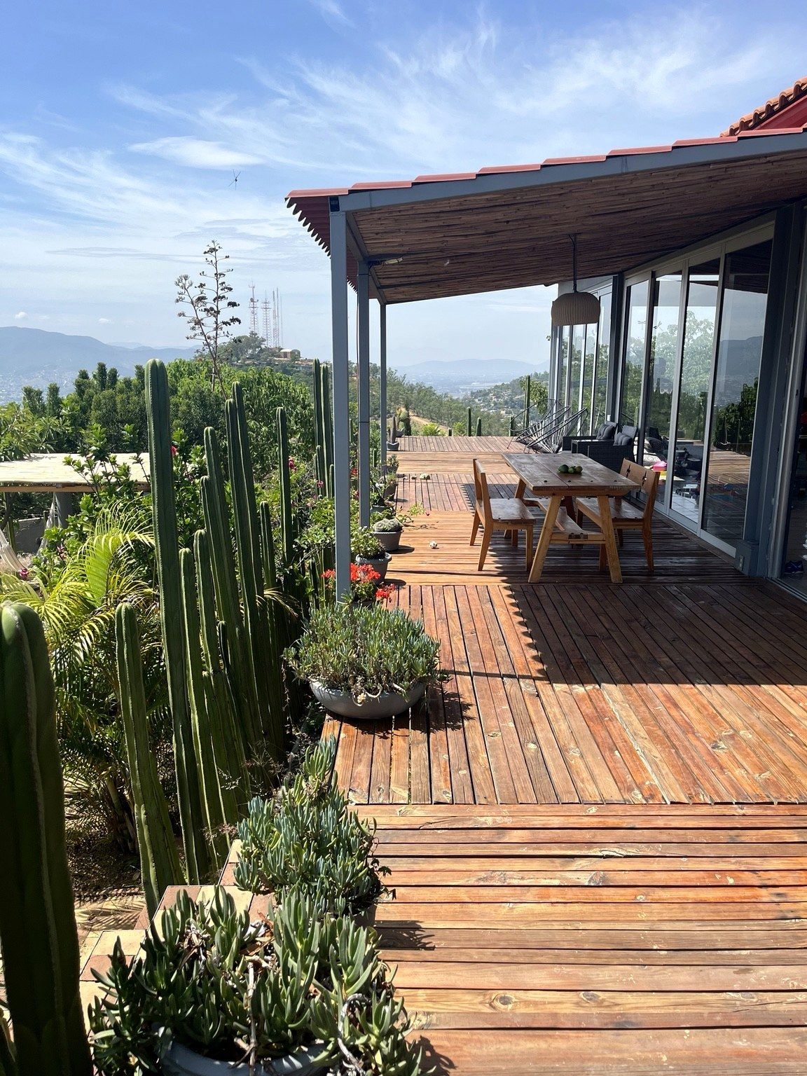A wooden deck with a table and chairs, surrounded by potted plants and cacti.