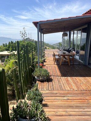 A wooden deck with a table and chairs, surrounded by potted plants and cacti.
