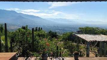 Eine Holterrasse mit Blumentöpfen und Blick auf ferne Berge.
