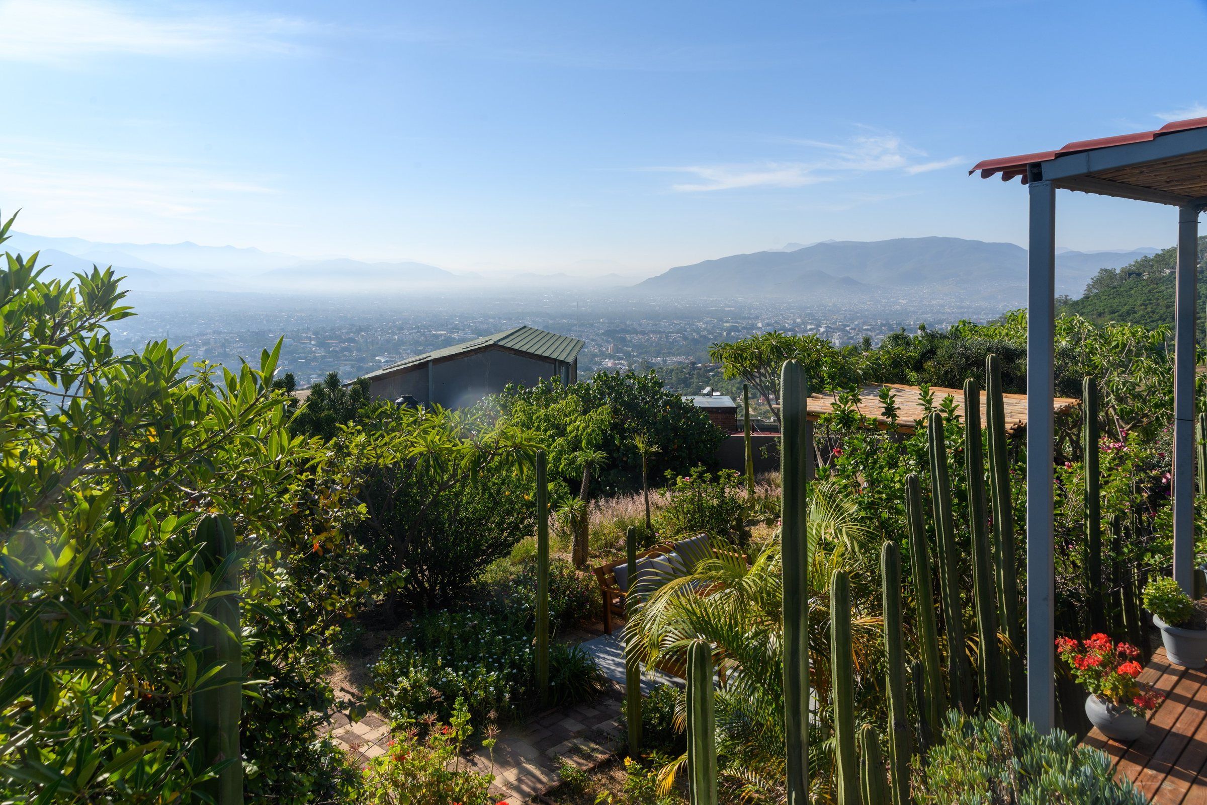 Een tuin met cactussen en uitzicht op een stadsbeeld.