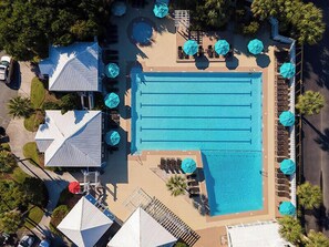 Pool - Newly Updated Poolside Studio Steps From Beach, Sandbar, & Tennis (Fripp Island)