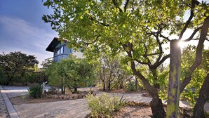 A modern house with a blue facade, surrounded by a garden with various plants and a gravel pathway. - A beautiful loft in nature but close to the city, with pool /streamer (Oaxaca de Juarez)