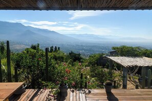 Una terraza de madera con plantas en macetas y vistas a montañas distantes.
