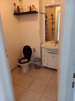 Shower - F2 apartment in Roches Carrées (Le Lamentin)