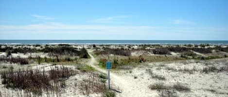 بالقرب من الشاطئ