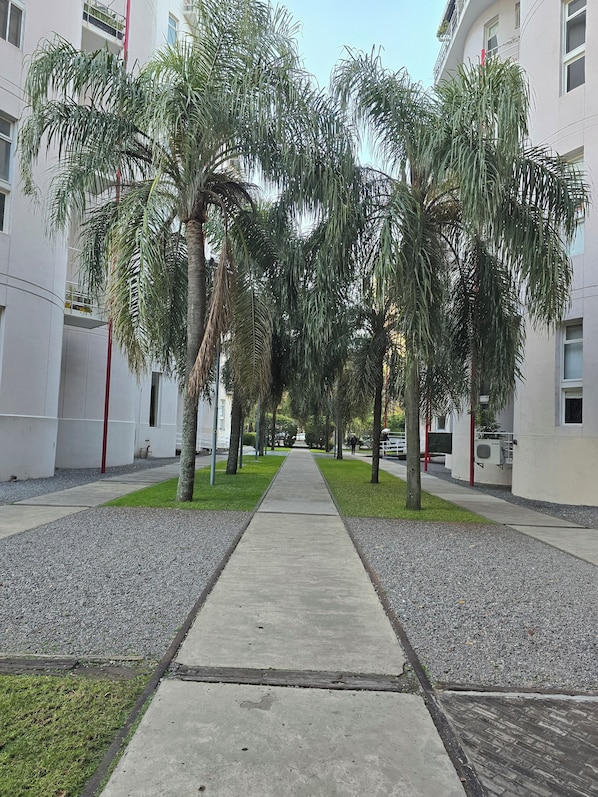 Un chemin bordé de palmiers et d’immeubles dotés de balcons, qui mène à l’entrée d’un bâtiment.