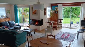 Télévision, cheminée, livres, écrans d'ordinateur