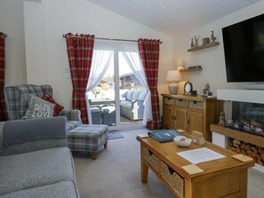 Smart TV, fireplace, Netflix, books