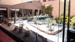 Un jardin de cactus comprenant différentes espèces de cactus et de plantes succulentes, une petite fontaine et, au fond, un bâtiment doté de grandes fenêtres.