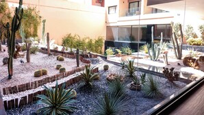 Une cour intérieure agrémentée de cactus et de plantes, une clôture en bois et, au fond, un bâtiment doté de grandes fenêtres.