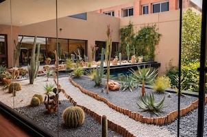 Un jardín de cactus con diversas especies, una piscina y un edificio con ventanas y un balcón.