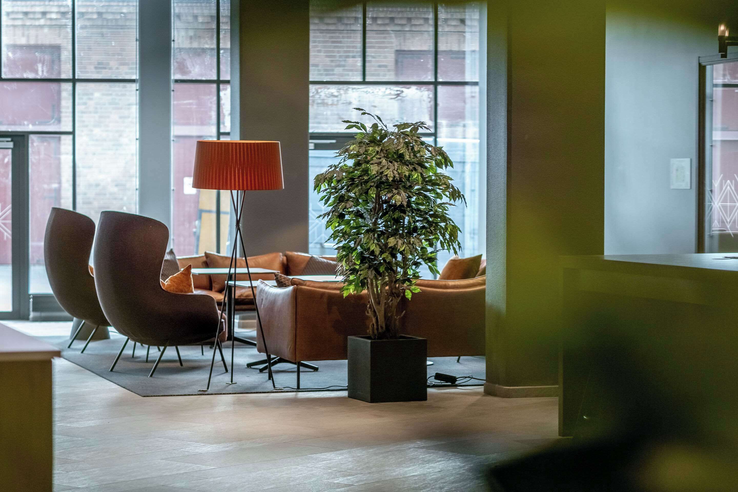 A modern lounge area with leather sofas, a floor lamp, and a potted plant.