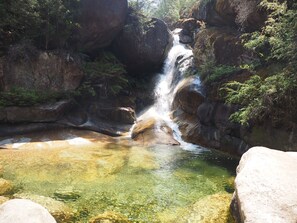 A waterfall cascading over rocks into a clear pool surrounded by lush greenery. - ALPINE ALLURE - ALL SEASONS WONDER (Tawonga South)