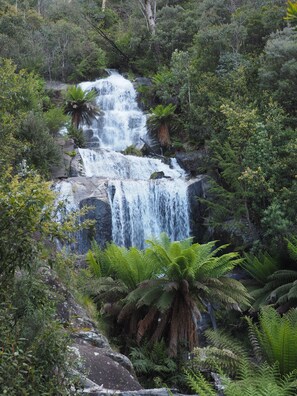 Een waterval omringd door weelderige begroeiing en varens.