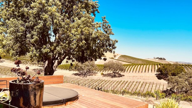 A wooden deck with a bench, surrounded by a vineyard landscape. - Dwell Magazine Featured Vineyard Home (Paso Robles)