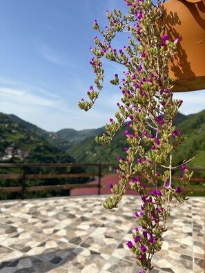 Exterior - Puleri Suit Bungalow (Camlihemsin)