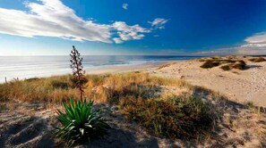 A beach with sand dunes, sparse vegetation, and a clear view of the ocean. - Pretty villa with swimming pool near Biscarrosse lake (Biscarrosse)