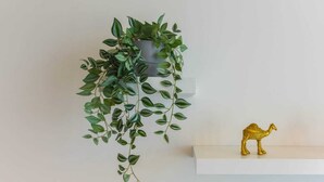 Apartment, barrierefrei, eigenes Bad (Modern-Luxury-Central) | Innenbereich