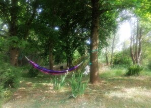 Chaises longues