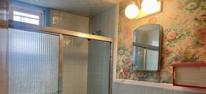 Combined shower/tub, towels, soap, toilet paper - apartment. (Bronx)