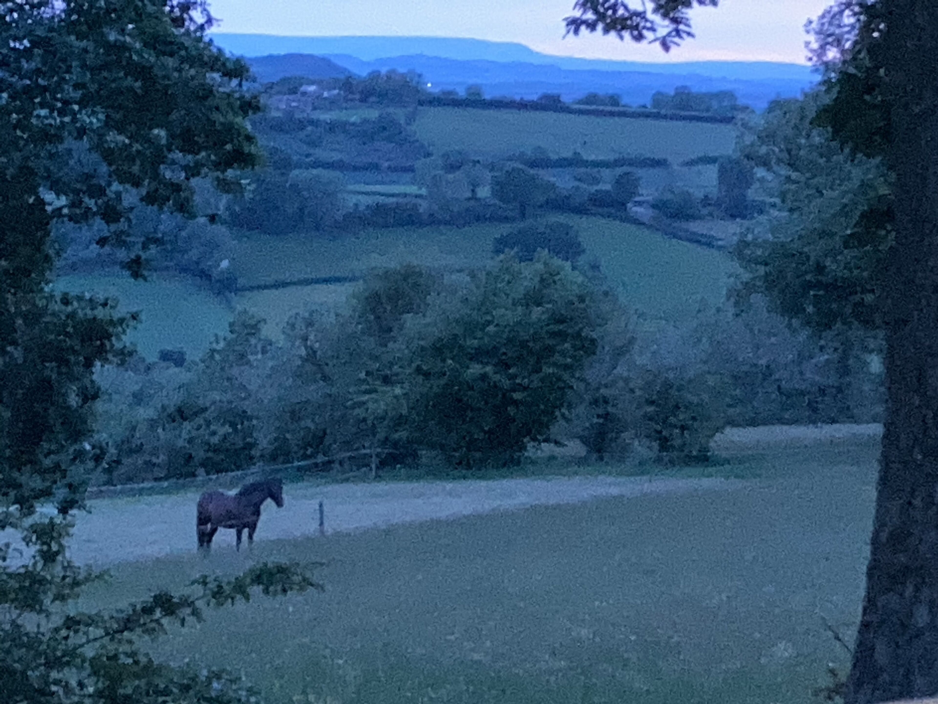 A rural landscape with a horse in a field, surrounded by trees and rolling hills.