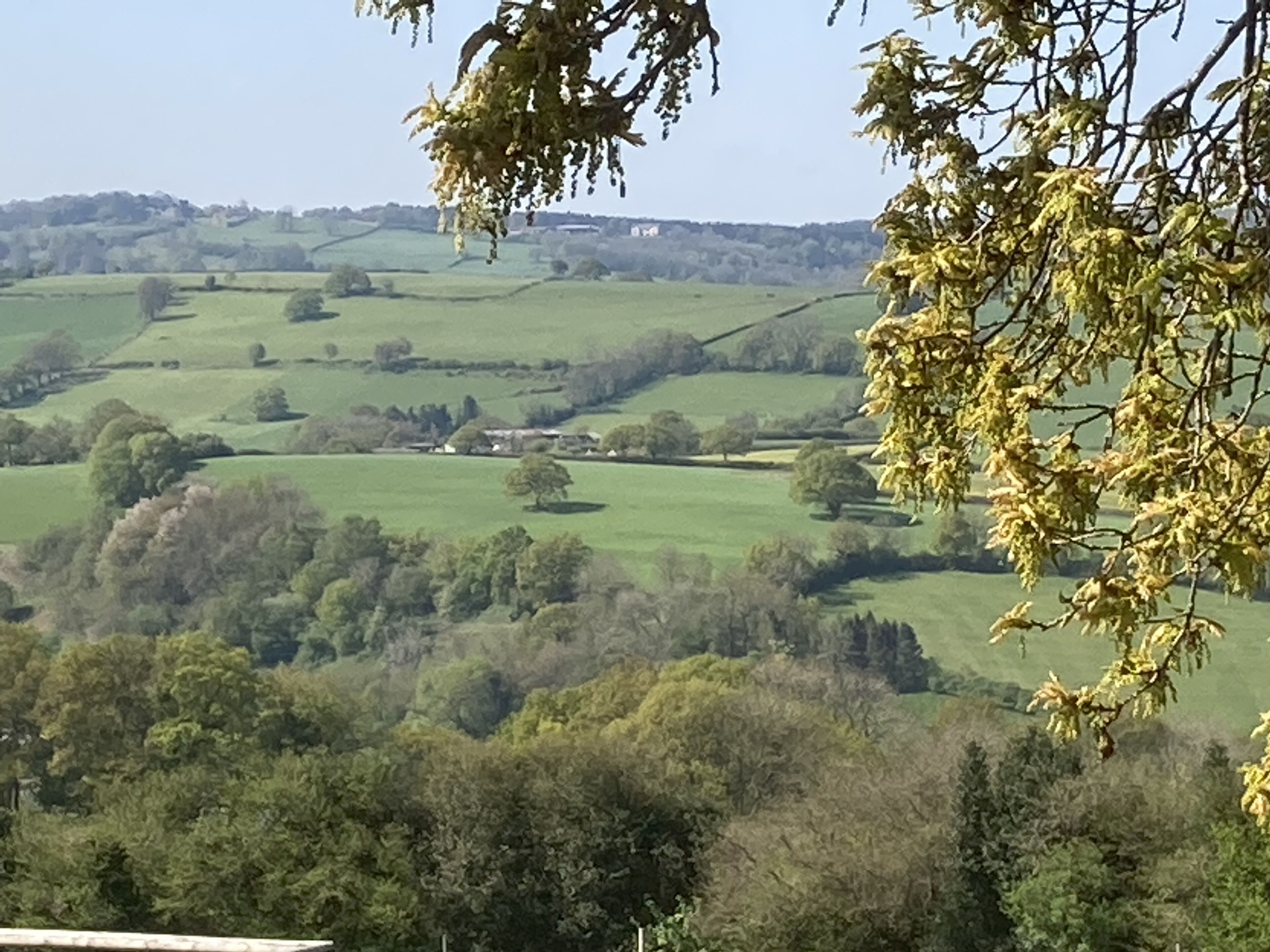 A panoramic view of a rural landscape with rolling hills, scattered trees, and a distant building.
