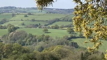 A panoramic view of a rural landscape with rolling hills, scattered trees, and a distant building.