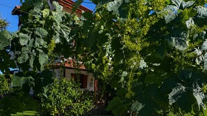 Ein gepflegter Garten mit Rasenfläche, einer Steingrenze und einem Gebäude mit rotem Dach im Hintergrund.