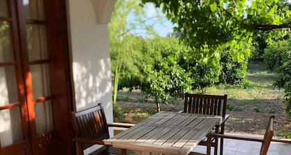 Cosy and relaxing villa in a big mandarin garden