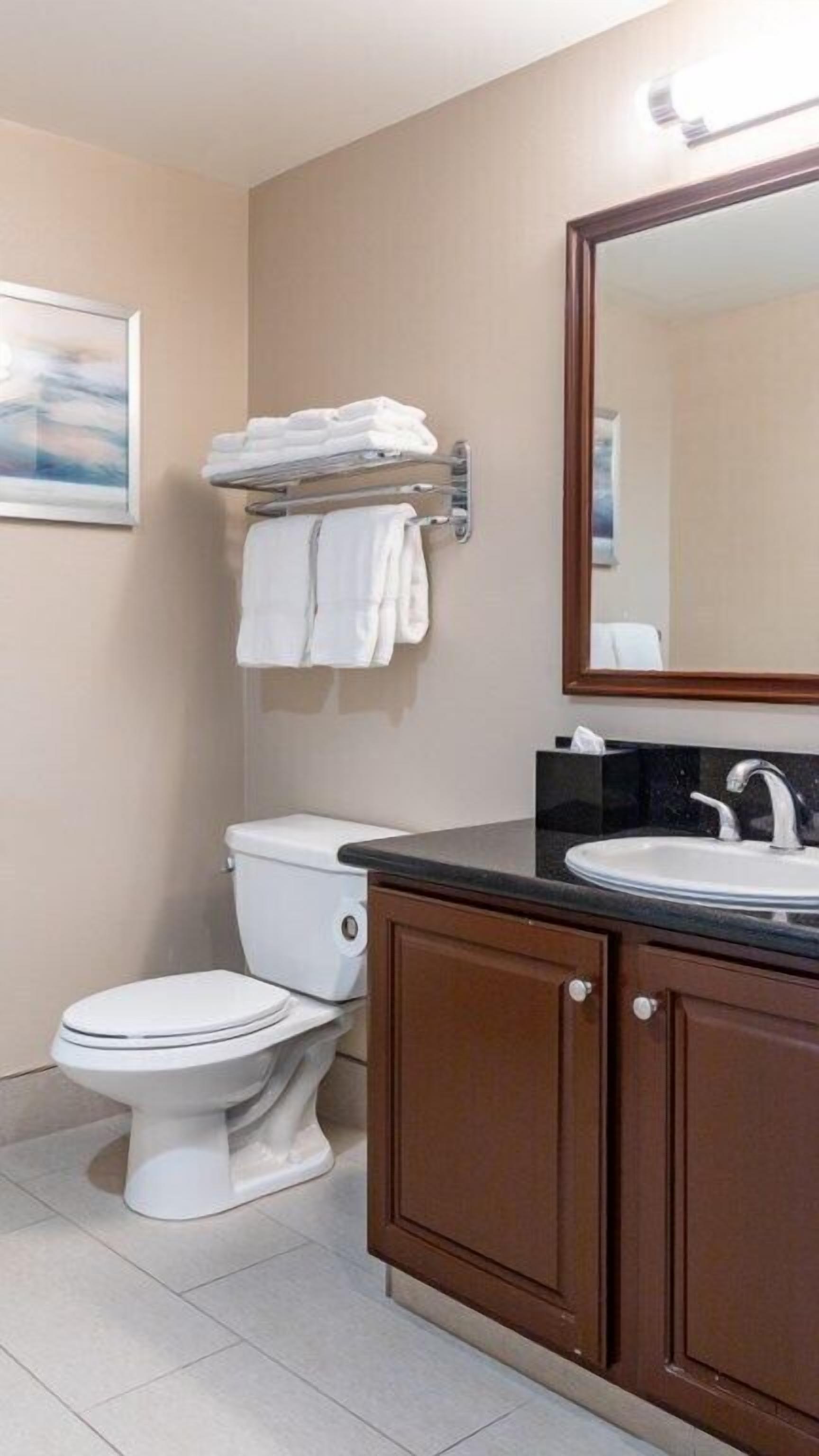Un baño con inodoro, lavamanos y espejo.