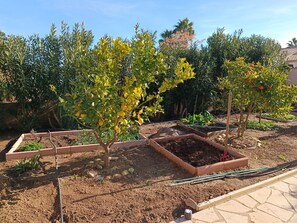 Overnattingsstedets uteområder