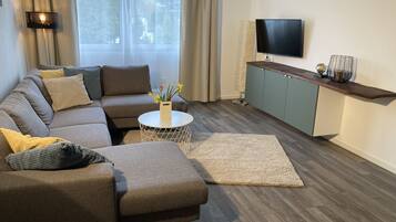 Fernseher, Kamin, Bücher