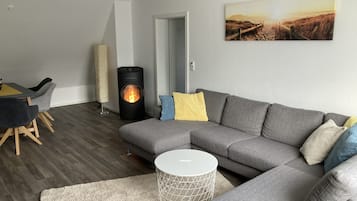 Fernseher, Kamin, Bücher