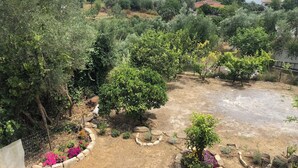 Un jardín con diversas plantas y flores, un área cercada y vista al mar y edificios al fondo.